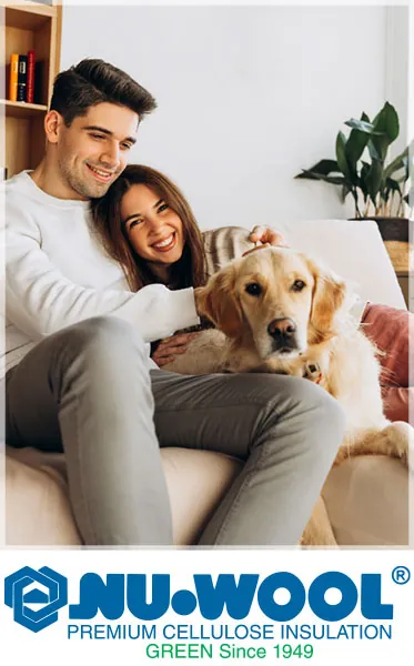 PDF of Sanctuary Home insulation brochure opens in a new tab.