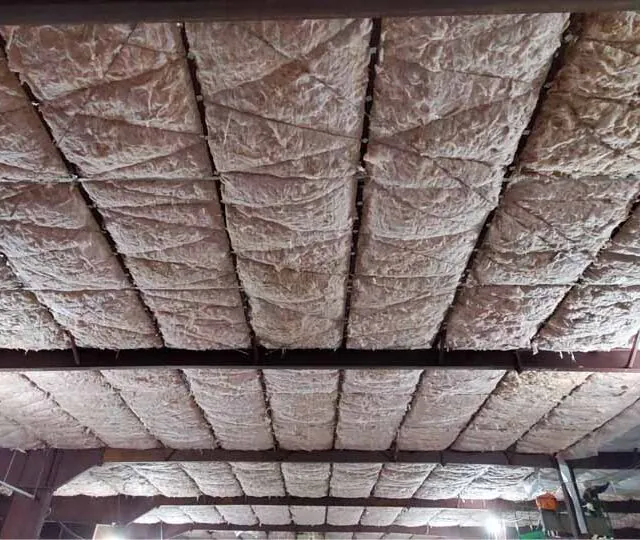 R19 fiberglass with WMP-50 facing